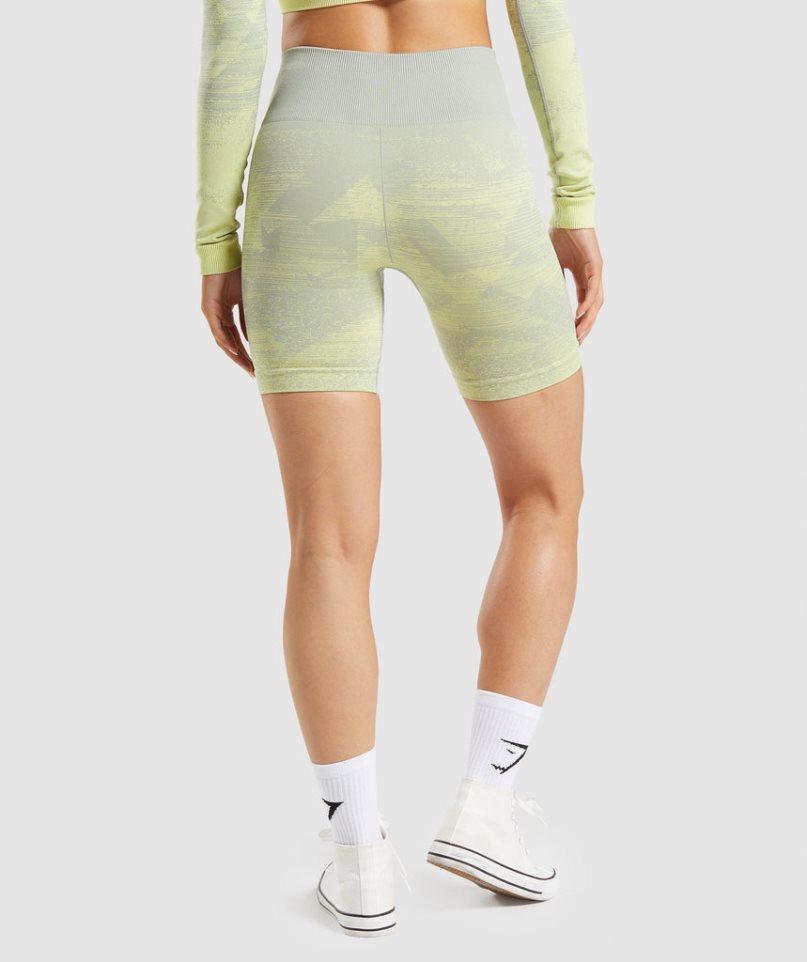 Women's Gymshark Adapt Ombre Seamless Shorts Light Green | NZ 3WMISA